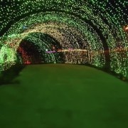 PACOTE DIA DOS NAMORADOS NO PARQUE LUMNI EM GRAMADO-Venha criar momentos inesquecíveis cheios de luz e cor com quem amas-12 a 15 de Junho de 2025 - thumbnail_IMG_5485