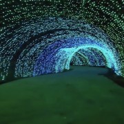 PACOTE DIA DOS NAMORADOS NO PARQUE LUMNI EM GRAMADO-Venha criar momentos inesquecíveis cheios de luz e cor com quem amas-12 a 15 de Junho de 2025 - thumbnail_IMG_5487