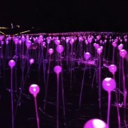 PACOTE DIA DOS NAMORADOS NO PARQUE LUMNI EM GRAMADO-Venha criar momentos inesquecíveis cheios de luz e cor com quem amas-12 a 15 de Junho de 2025 - thumbnail_IMG_5493