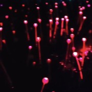 PACOTE DIA DOS NAMORADOS NO PARQUE LUMNI EM GRAMADO-Venha criar momentos inesquecíveis cheios de luz e cor com quem amas-12 a 15 de Junho de 2025 - thumbnail_IMG_5495