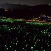 PACOTE DIA DOS NAMORADOS NO PARQUE LUMNI EM GRAMADO-Venha criar momentos inesquecíveis cheios de luz e cor com quem amas-12 a 15 de Junho de 2025 - thumbnail_IMG_5525