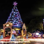 PACOTE NATAL LUZ 2025-DIVERSÃO PARA TODA A FAMILIA-24 DE OUTUBRO A 11 DE JANEIRO DE 2026 - thumbnail_IMG_2335