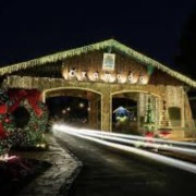 PACOTE NATAL LUZ 2025-DIVERSÃO PARA TODA A FAMILIA-24 DE OUTUBRO A 11 DE JANEIRO DE 2026 - thumbnail_IMG_2342