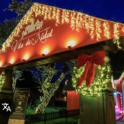 PACOTE NATAL LUZ 2025-DIVERSÃO PARA TODA A FAMILIA-24 DE OUTUBRO A 11 DE JANEIRO DE 2026 - thumbnail_IMG_2348