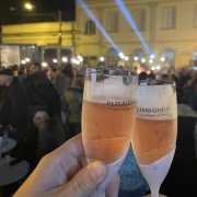 PACOTE GARIBALDI VINTAGE-A FESTA MAIS GLAMOUROSA DA SERRA GAUCHA-07 DE NOVEMBRO -SÁBADO - thumbnail_IMG_0273