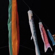 PACOTE II NOITE CULTURAL & GASTRONÔMICA DE IVOTI-COLÔNIA JAPONESA -08 DE NOVEMBRO-SÁBADO - thumbnail_IMG_4746