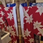 PACOTE II NOITE CULTURAL & GASTRONÔMICA DE IVOTI-COLÔNIA JAPONESA -08 DE NOVEMBRO-SÁBADO - thumbnail_IMG_4804