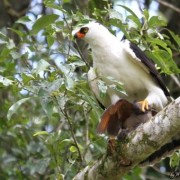 PACOTE CANION ITAIMBEZINHO, BOIA CROSS & CANION MALACARA NA PRAIA GRANDE-02 DIAS /01 PERNOITE -28.02 A 01 DE MARÇO DE 2026 - 123601681_143517537519907_1314939529162657308_n