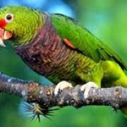 PACOTE CANION ITAIMBEZINHO, BOIA CROSS & CANION MALACARA NA PRAIA GRANDE-02 DIAS /01 PERNOITE -28.02 A 01 DE MARÇO DE 2026 - índice