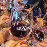 PACOTE TRASLADOS EVENTO GASTRONOMADE BRASIL 2026-21 DE MARCO-FLORES DA CUNHA-VINICOLA GAIO & CHEF MAURICIO BEUTER - IMG_0154