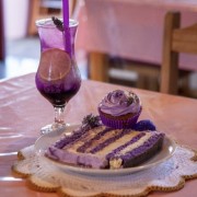 PACOTE CAMINHOS DA LAVANDA EM MORRO REUTER-VENHA SE CONECTAR A ENERGIA DE CURA E CALMA NUM ROTEIRO CHEIO DE CHARME-DIA 09 DE MAIO-SÁBADO - IMG_8515