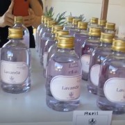 PACOTE CAMINHOS DA LAVANDA EM MORRO REUTER-VENHA SE CONECTAR A ENERGIA DE CURA E CALMA NUM ROTEIRO CHEIO DE CHARME-DIA 09 DE MAIO-SÁBADO - IMG_8824