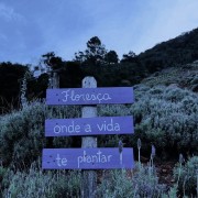 PACOTE CAMINHOS DA LAVANDA EM MORRO REUTER-VENHA SE CONECTAR A ENERGIA DE CURA E CALMA NUM ROTEIRO CHEIO DE CHARME-DIA 09 DE MAIO-SÁBADO - IMG_8923