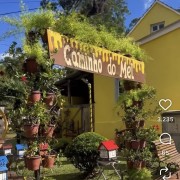 PACOTE FEIRA DA ROSCA, MEL & NATA EM IVOTI-DIAS 23,24, 30 & 31 DE MAIO DE 2026-A FEIRA MAIS DELICIOSA DO RGS - IMG_1949