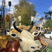 PACOTE FEIRA DA ROSCA, MEL & NATA EM IVOTI-DIAS 23,24, 30 & 31 DE MAIO DE 2026-A FEIRA MAIS DELICIOSA DO RGS - IMG_1958