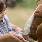 PACOTE DIÁRIA NA FAZENDA COM EXPEDIÇÃO CAPIVARAS -DIA 31 DE MAIO DE 2026 - IMG_3334