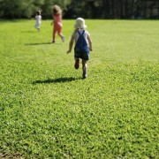 PACOTE DIÁRIA NA FAZENDA COM EXPEDIÇÃO CAPIVARAS -DIA 31 DE MAIO DE 2026 - IMG_3335