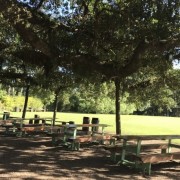 PACOTE DIÁRIA NA FAZENDA COM EXPEDIÇÃO CAPIVARAS -DIA 31 DE MAIO DE 2026 - IMG_3351