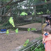 PACOTE DIÁRIA NA FAZENDA COM EXPEDIÇÃO CAPIVARAS -DIA 31 DE MAIO DE 2026 - IMG_3355