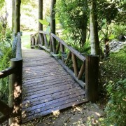 PACOTE DIÁRIA NA FAZENDA COM EXPEDIÇÃO CAPIVARAS -DIA 31 DE MAIO DE 2026 - IMG_3375