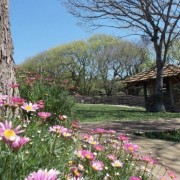 PACOTE DIÁRIA NA FAZENDA COM EXPEDIÇÃO CAPIVARAS -DIA 31 DE MAIO DE 2026 - IMG_3376