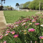 PACOTE DIÁRIA NA FAZENDA COM EXPEDIÇÃO CAPIVARAS -DIA 31 DE MAIO DE 2026 - IMG_3377