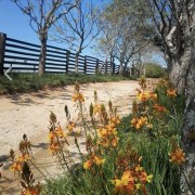 PACOTE DIÁRIA NA FAZENDA COM EXPEDIÇÃO CAPIVARAS -DIA 31 DE MAIO DE 2026 - IMG_3384