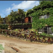 PACOTE DIÁRIA NA FAZENDA COM EXPEDIÇÃO CAPIVARAS -DIA 31 DE MAIO DE 2026 - IMG_3385