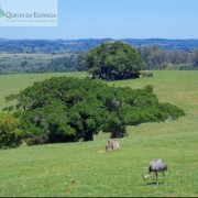 PACOTE DIÁRIA NA FAZENDA COM EXPEDIÇÃO CAPIVARAS -DIA 31 DE MAIO DE 2026 - IMG_3394