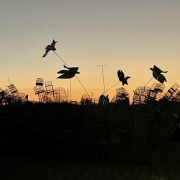 PACOTE DIÁRIA NA FAZENDA COM EXPEDIÇÃO CAPIVARAS -DIA 31 DE MAIO DE 2026 - IMG_3399