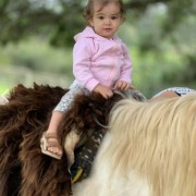 PACOTE DIÁRIA NA FAZENDA COM EXPEDIÇÃO CAPIVARAS -DIA 31 DE MAIO DE 2026 - IMG_3402 (1)