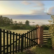 PACOTE DIÁRIA NA FAZENDA COM EXPEDIÇÃO CAPIVARAS -DIA 31 DE MAIO DE 2026 - IMG_3406 (1)