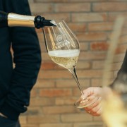PACOTE TOUR GERAÇÕES -VENHA CONHECER A HISTÓRIA DA SALTON E DEGUSTAR VINHOS PREMIADOS-Dia 02 de Maio ou Sábados e Domingos - IMG_3809